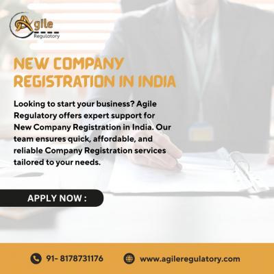 Professional Company Registration Services by Agile Regulatory