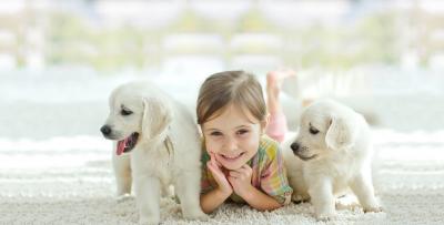 Moving Pets Overseas from Mumbai with Care