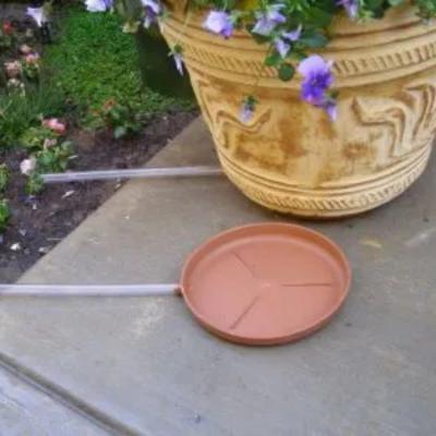 Drip Trays For Plants