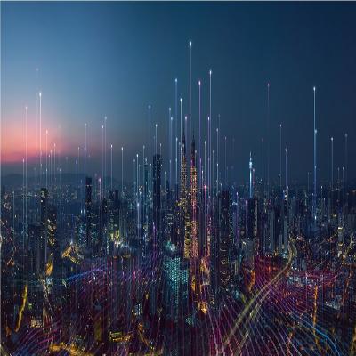 maximo hse - Austin Other