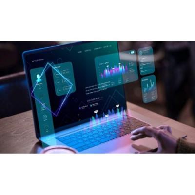 IT Project Management Solutions 