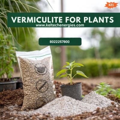 Vermiculite for Plants - Bangalore Other