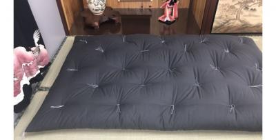 Pain-Free Sleep Solution – Traditional Futon Mattress