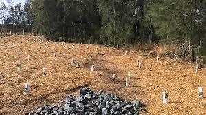 Flora and Fauna Assessment Report (FFA)