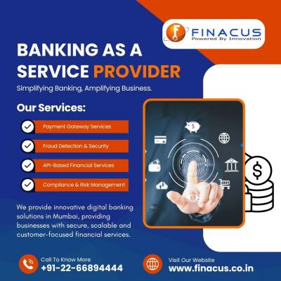 Banking as a Service Provider | Software as Service Provider