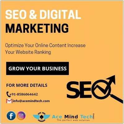 Seo Agency In South Delhi - Delhi Other
