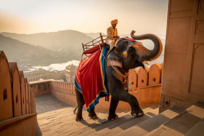 Elephant Ride In Jaipur Explore Rajasthan’s Royal Heritage