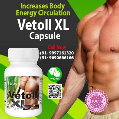 Increase Body Weight Fast with Vetoll XL Capsule 