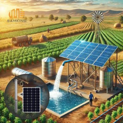 0.75HP 1 Inches DC Solar DC Solar Powered Deep Well Irrigation Pump - Taiyuan Other