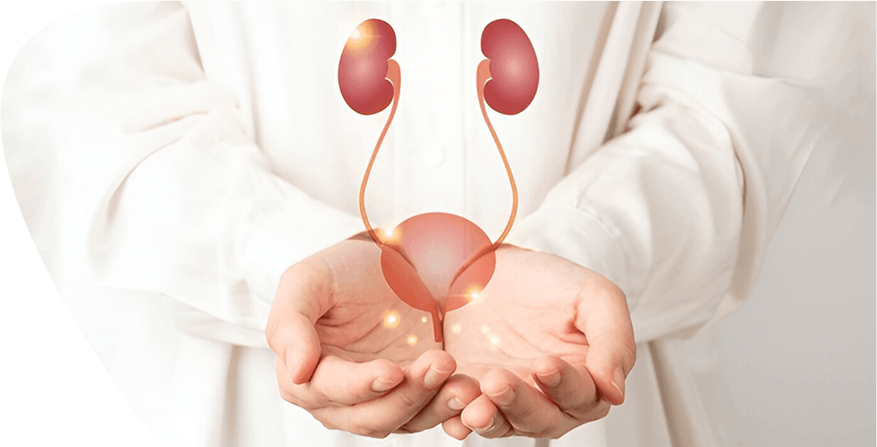 Urology Treatment in Trivandrum