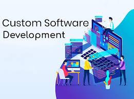 custom software development services near me - Jaipur Computer