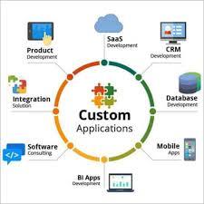 custom software development services near me - Jaipur Computer