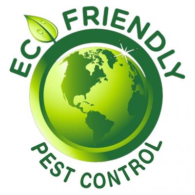 Pest Control Services in Gurgaon | Termite Treatments