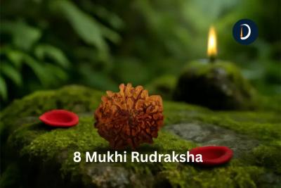 Get Original 8 Mukhi Rudraksha From Daivik Cart