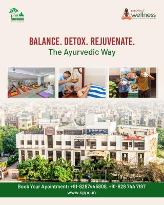 Ayurvedic Therapy In Delhi