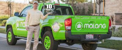 Effective Orange County Mosquito Control – Malang Pest Control