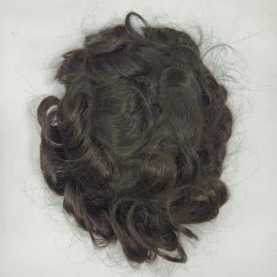 HairTaria - Delhi Other