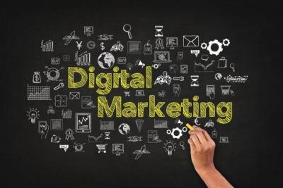 Best Digital Marketing Agency in Chandigarh | Wildnet Technologies