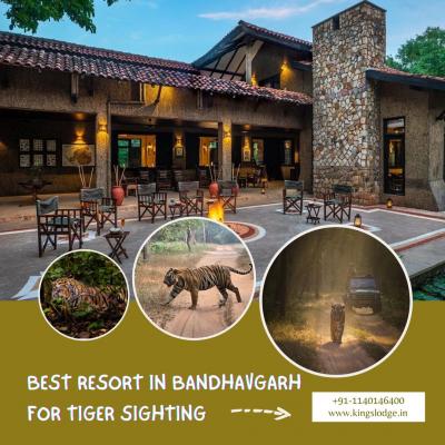 Best Resort in Bandhavgarh for Tiger Sighting