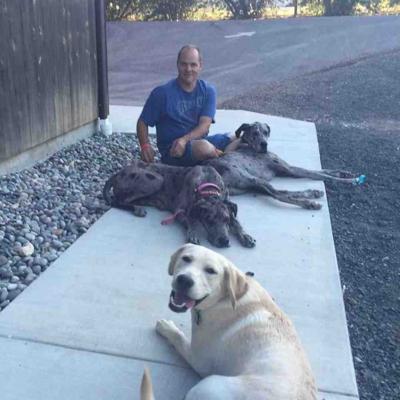 Dog Board and Train Near Me