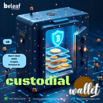 'Don’t Just Hold Crypto Protect It - Custodial wallet'
