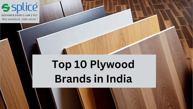 Best Plywood in India