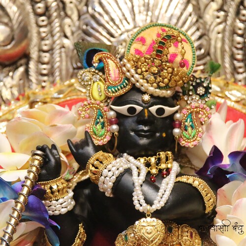 Festivals celebrated at Radha Raman Ji Temple