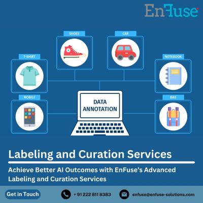 Achieve Better AI Outcomes with EnFuse’s Advanced Labeling and Curation Services