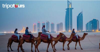 Book Exclusive Dubai Travel Packages with Tripa Tours