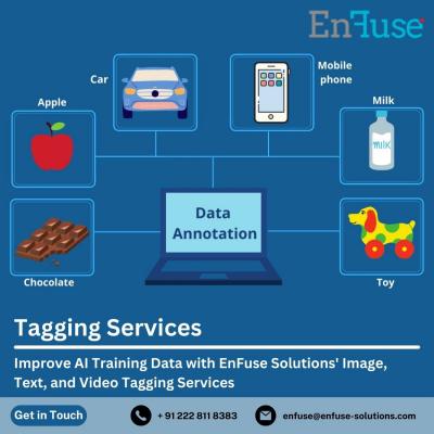 Improve AI Training Data with EnFuse Solutions' Image, Text, and Video Tagging Services