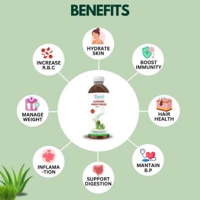 Aloe Vera Wheat Grass Juice for Cholesterol Control & Immunity | Sampuran Swadeshi