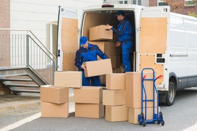 Commercial Movers in Dubai - Dubai Other