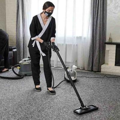 Carpet Cleaning in Torrance - Other Other