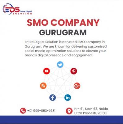 Best SMO Company Gurugram - Gurgaon Other