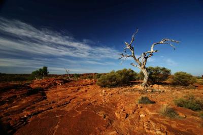 Biodiversity Stewardship Site Assessment Report (BSSAR)