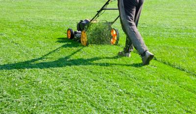 lawn care companies in williamsburg, va - Other Other