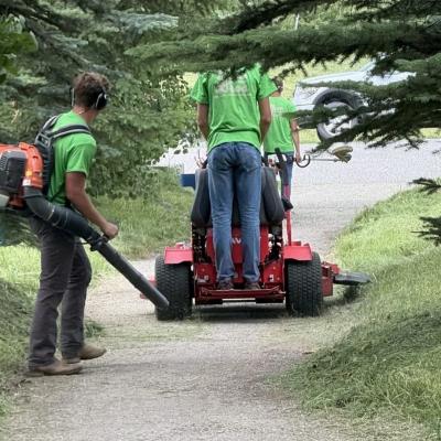 Local Lawn Care & Landscaping - Other Other