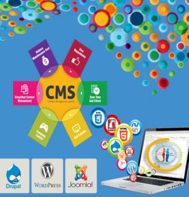 Best SEO Service Provider Company - Delhi Other