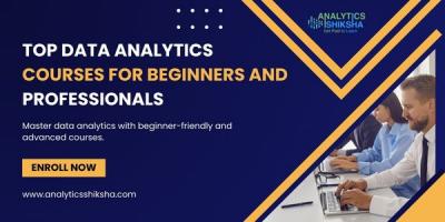 Online Data Analyst Certification Course with Real World Projects