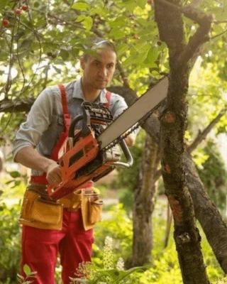 Residential Tree Trimming Services