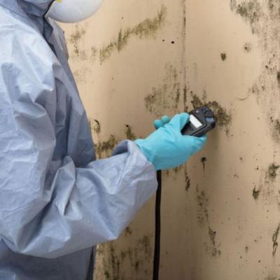 Houston Mold Inspections in Houston, TX - Other Other