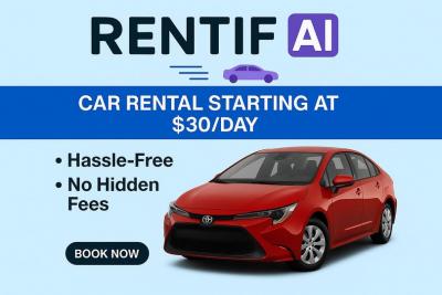Car Rentals