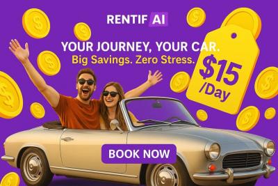 Car Rentals - Auckland Other
