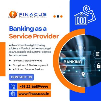 Banking as a Service Provider | Digital Payment Solution