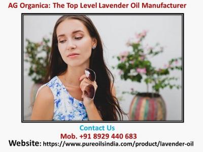 Who Are the Top Cosmetic Manufacturers in the Industry? 