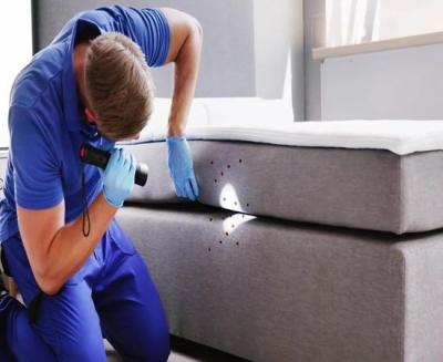 Commercial Pest Control Sydney - Sydney Professional Services