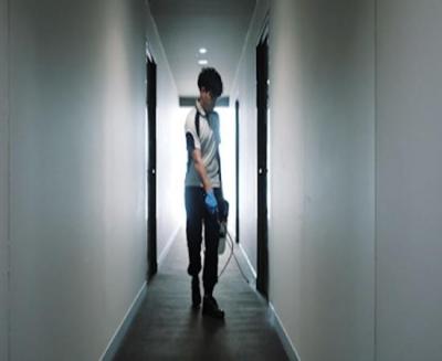 Commercial Pest Control Sydney - Sydney Professional Services