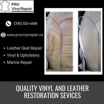 Pro Vinyl & Leather Repair - Other Other