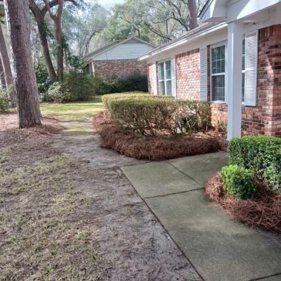 Landscape Maintenance Services in Tallahassee, FL