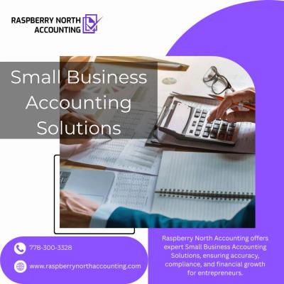 Tax Accountant - Raspberry North Accounting - Prince George Other